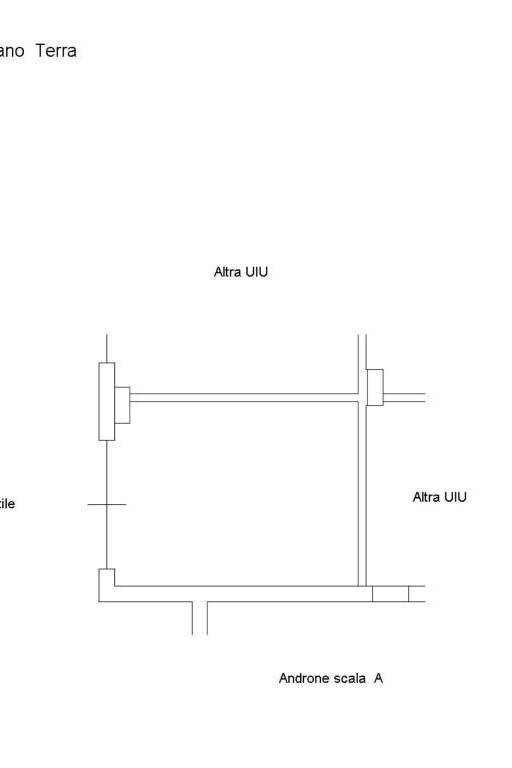 planimetria C6 1