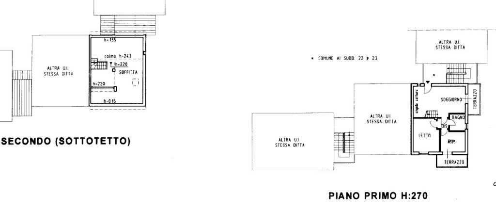 plan x pubbli