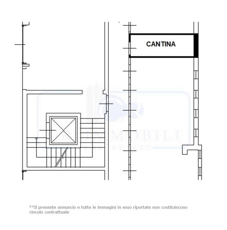 PLANIMETRIA CANTINA