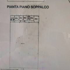 plan V Dorsale 1