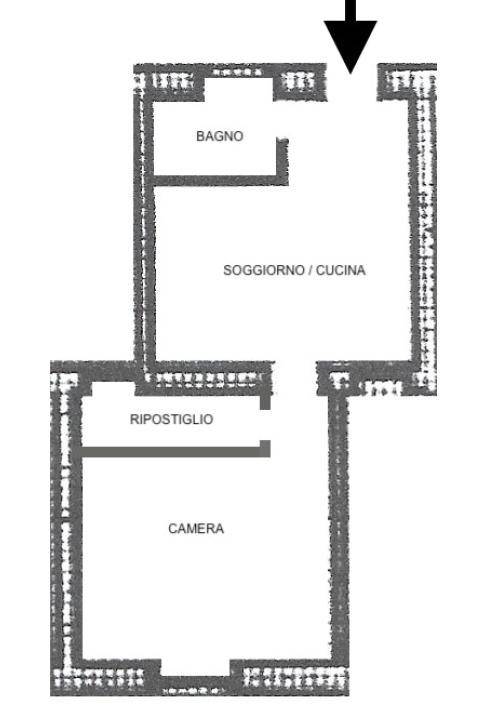 PLN