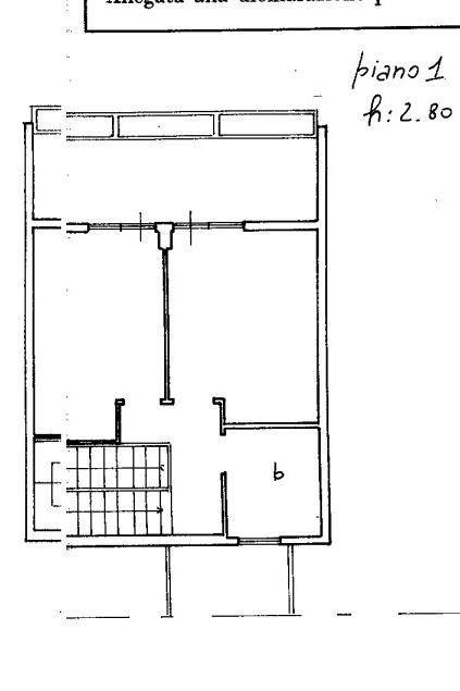 plan negroni p1