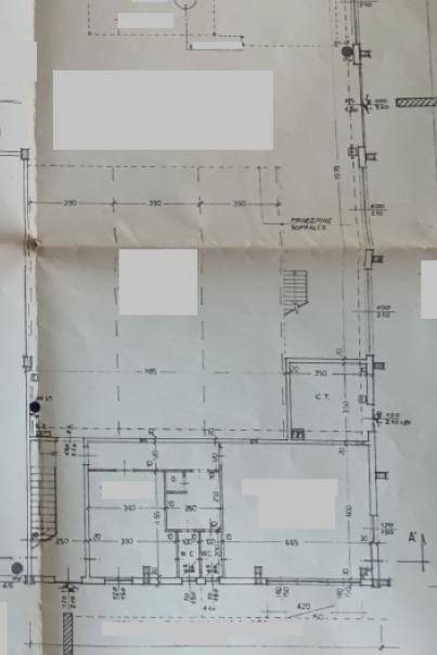 Immagine 2024-12-03 161432