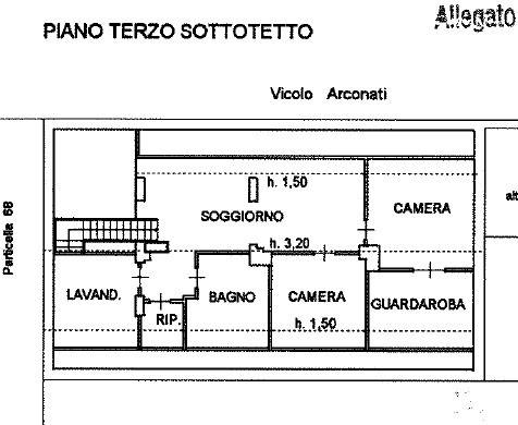 pianta sottotetto