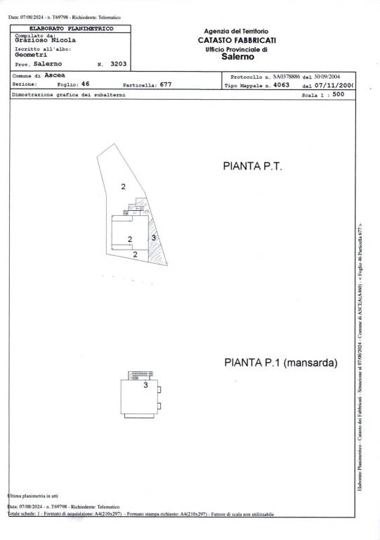 ELABORATO PLANIMETRICO IS 1