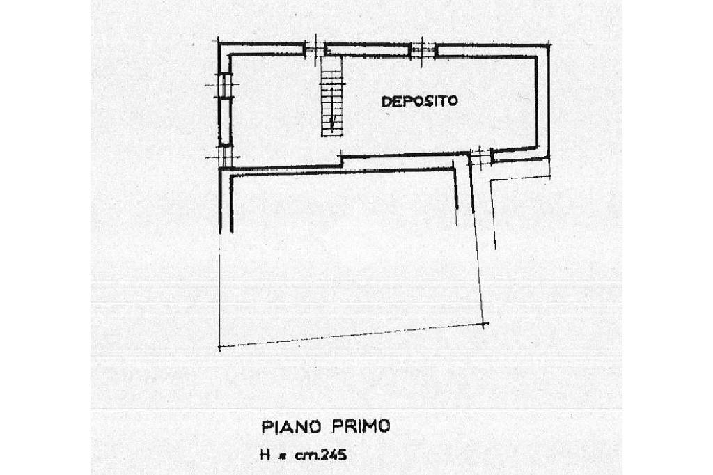 planimetria dinamica piano primo