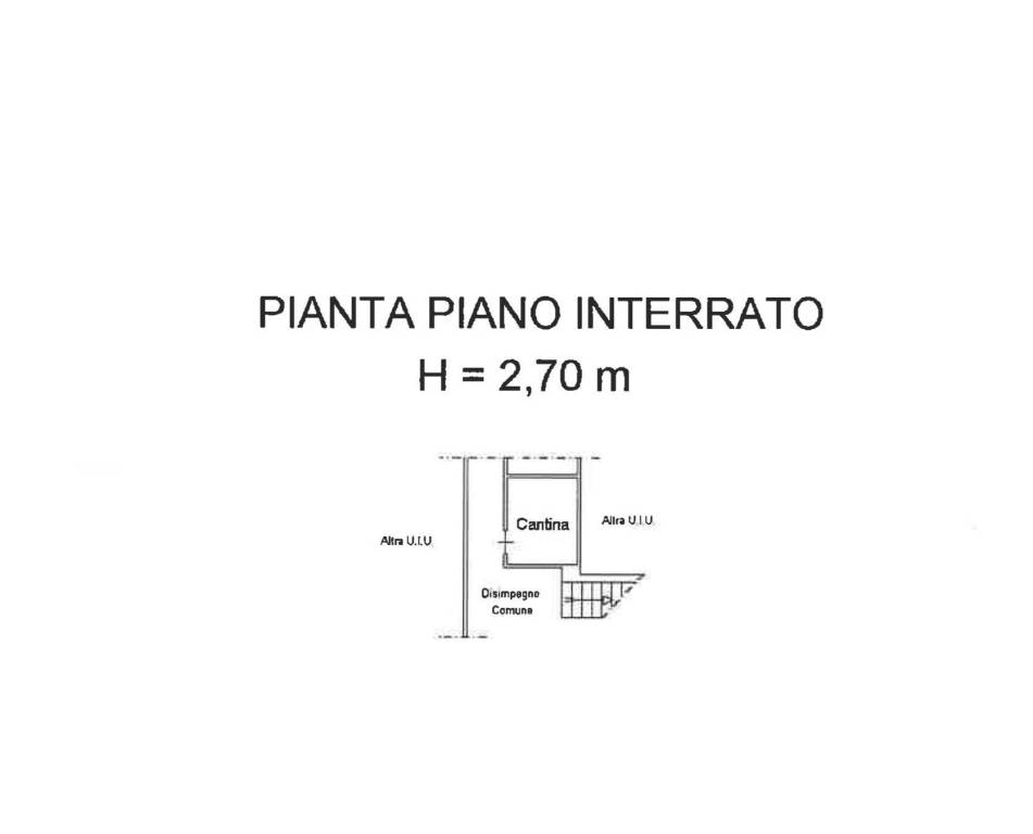 PLN tagliate 2