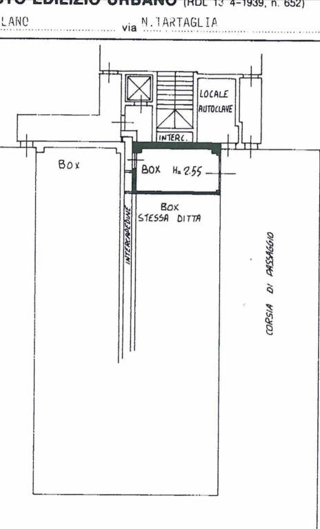 PIANTINA BOX TARTAGLIA 