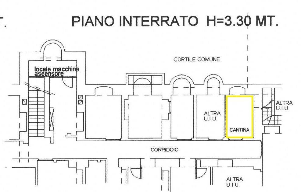 Piantina cantina