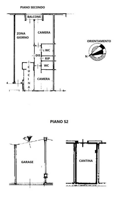 Pianta buona.jpg