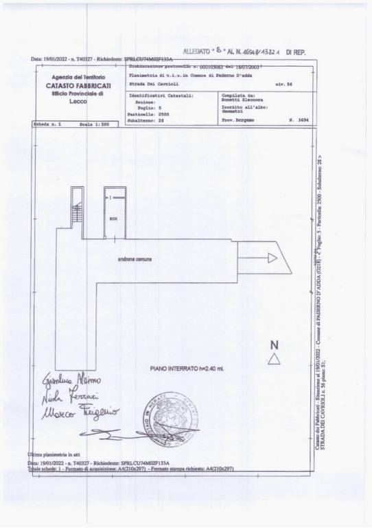 PIANTINE SENZA FIRMA 2