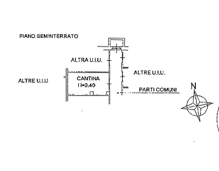 Pianta cantina