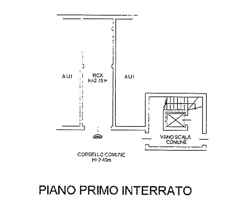 Pianta Box