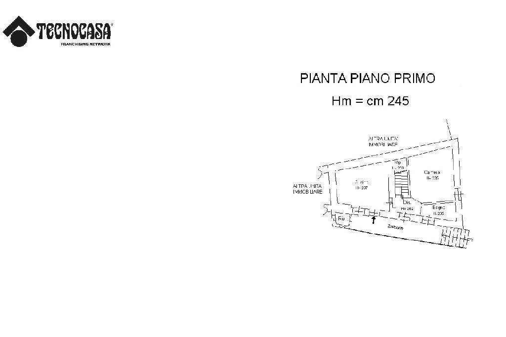 pln p1 interattiva