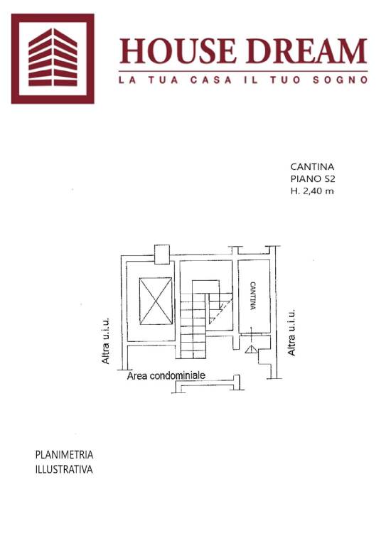 piantina cantina