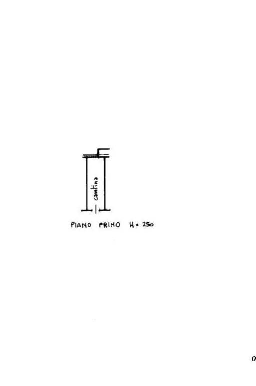 PLN POZZO F4 M516 S21 1