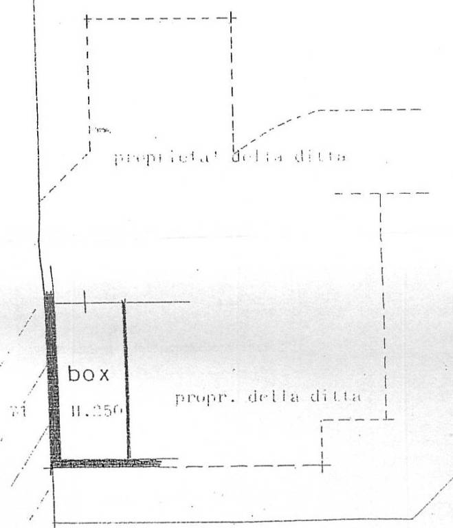 pianta box