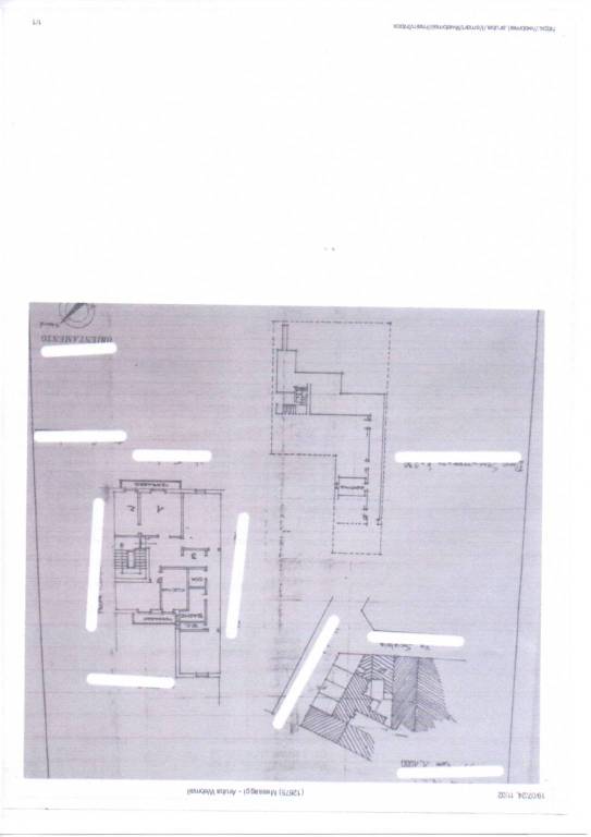 Plan. Scialoia JPG