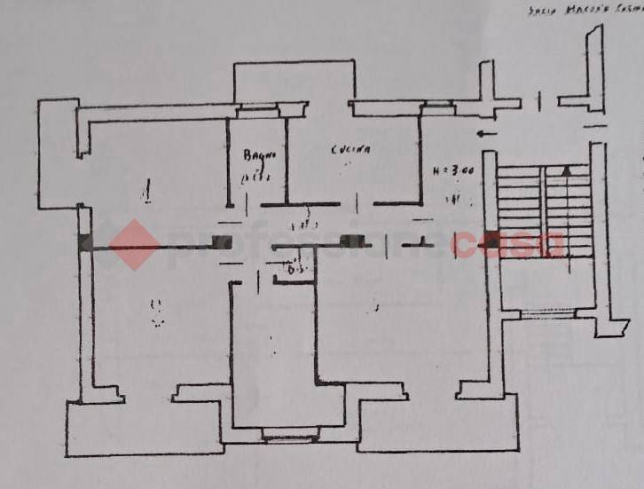 plan siti.jpg