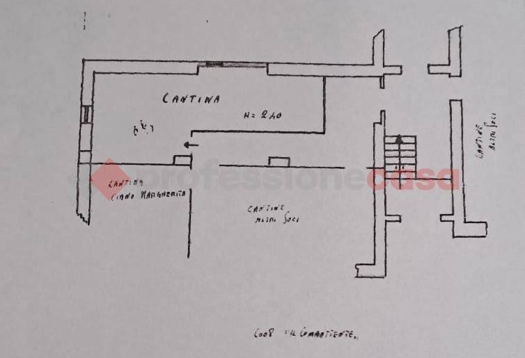 plan siti cantina.jpg