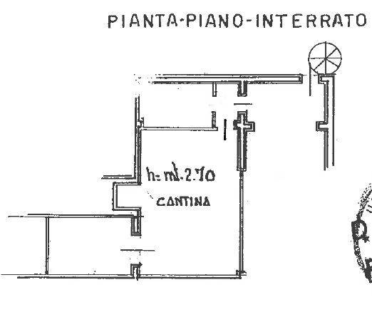 pianta cantina