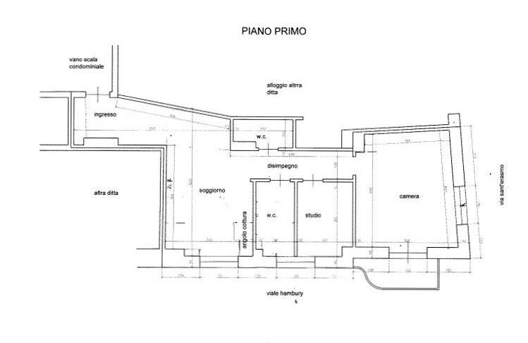 Piantina Trilo Tinto_3