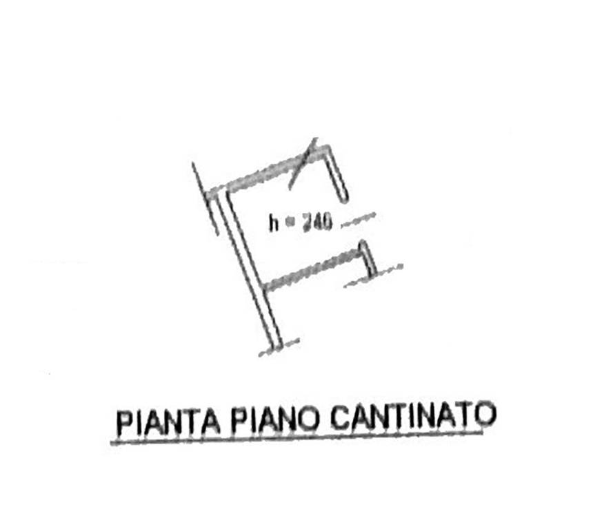 CANTINA 1