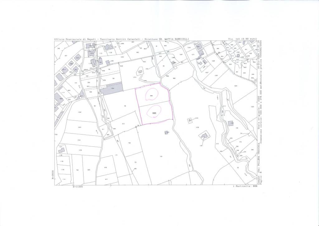 20250127103422946 (1) 1