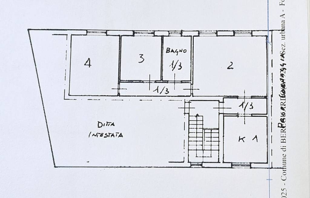 Pianta Trilo P1