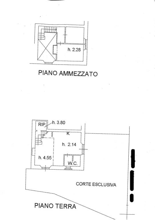 Piantina 1
