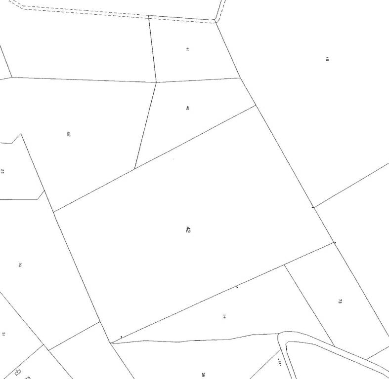 Immagine 13-01-24 - 09.19