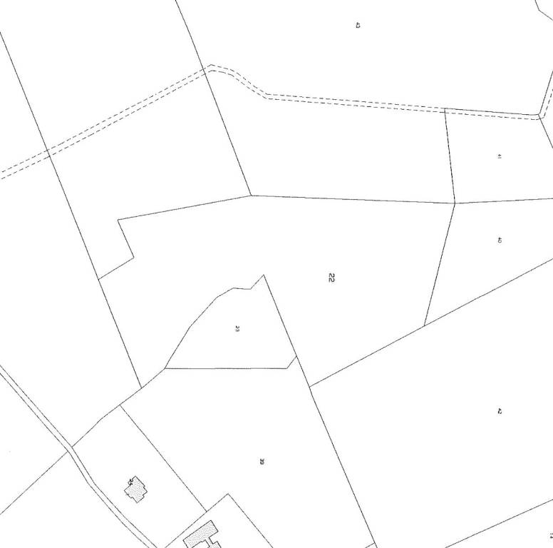 Immagine 13-01-24 - 09.19 (1)