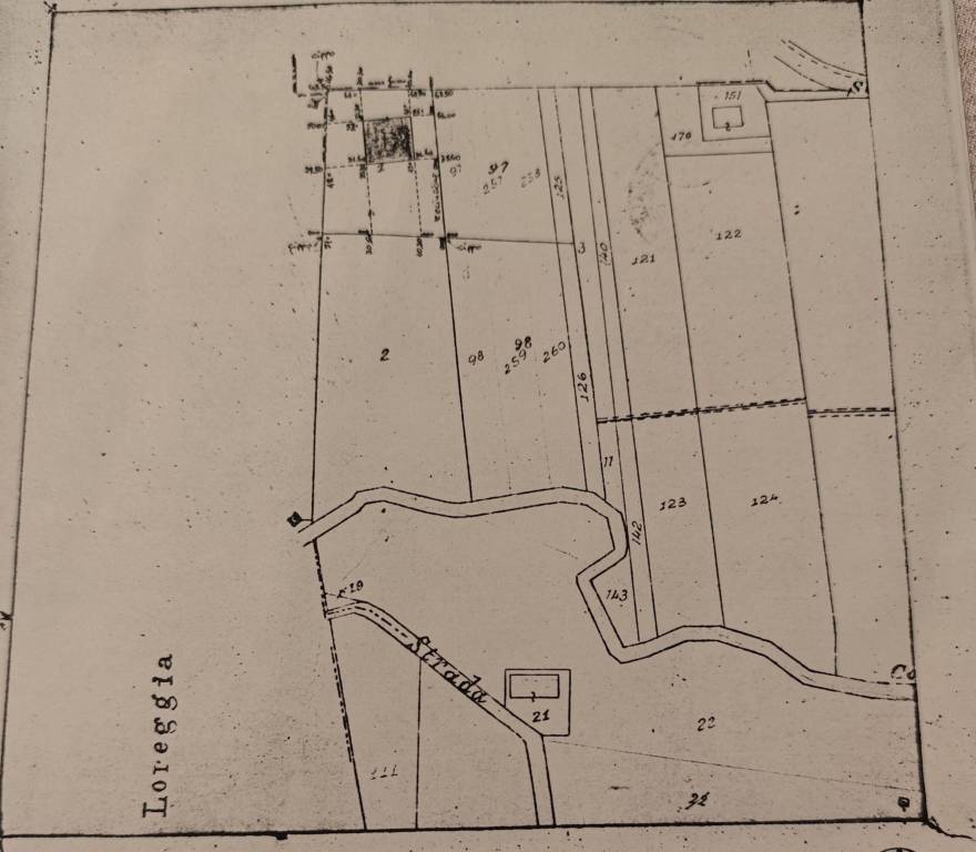 PLANIMETRIA DALL'ALTO TERRENO