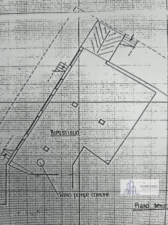 whatsapp image 2025 02 01 at 11 19 44 wmk 0