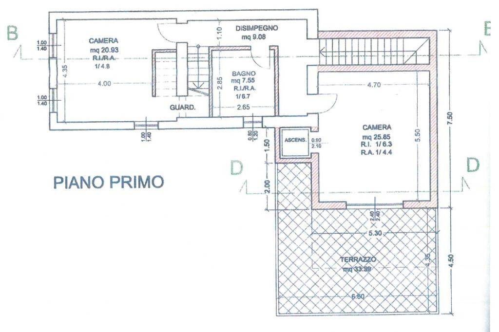 Planimetria Piano Primo