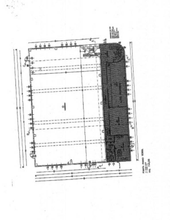 orizzonte blu allegati pagina 4