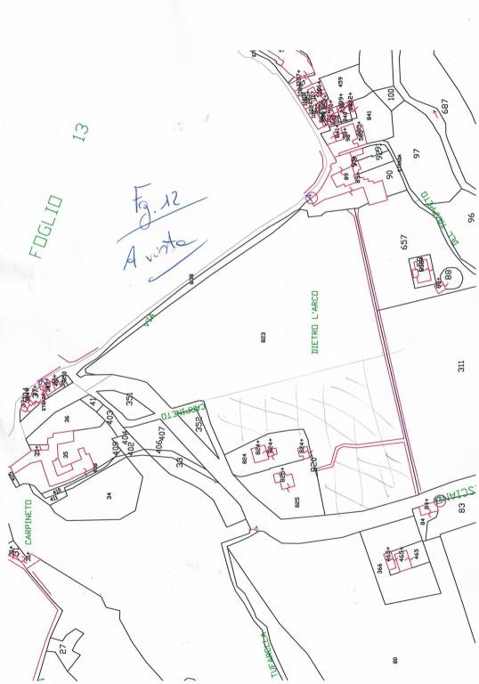 Fascia C Galdieri Carpineto