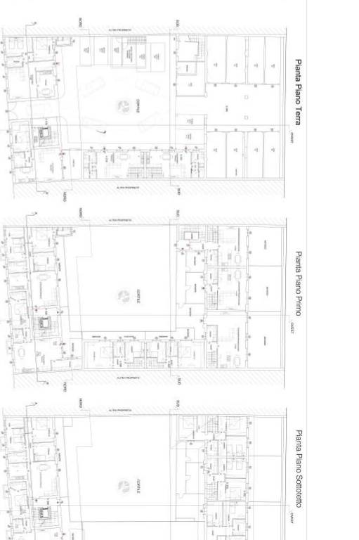 Seregno 11_ Piante 1