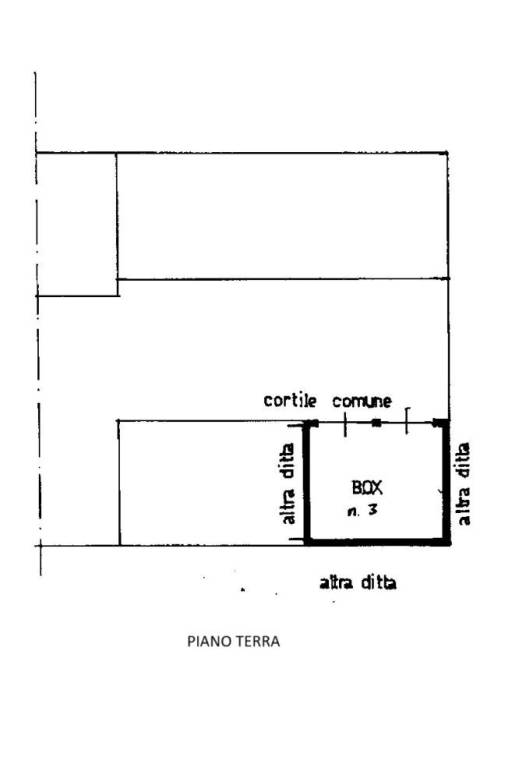 pianta box