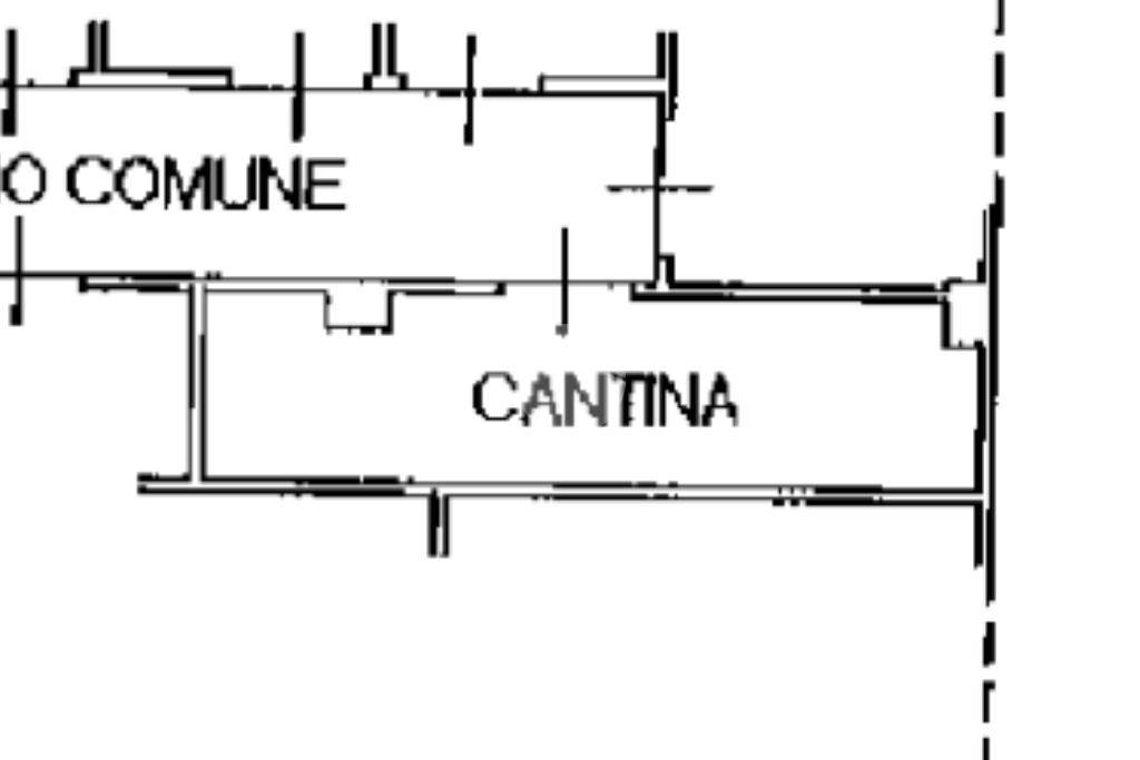 cantina planimetria