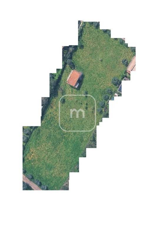 12789_20260304121152_FOTO MAPS