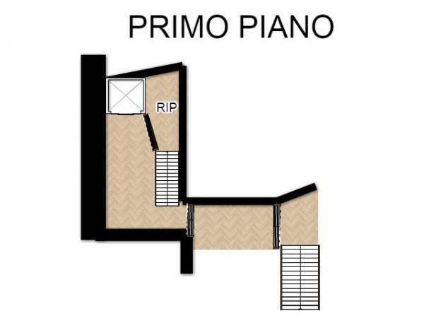 PRIMO PIANO