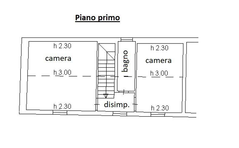 Plan. P. primo