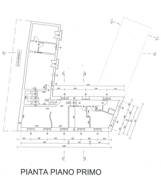 Pianta primo piano