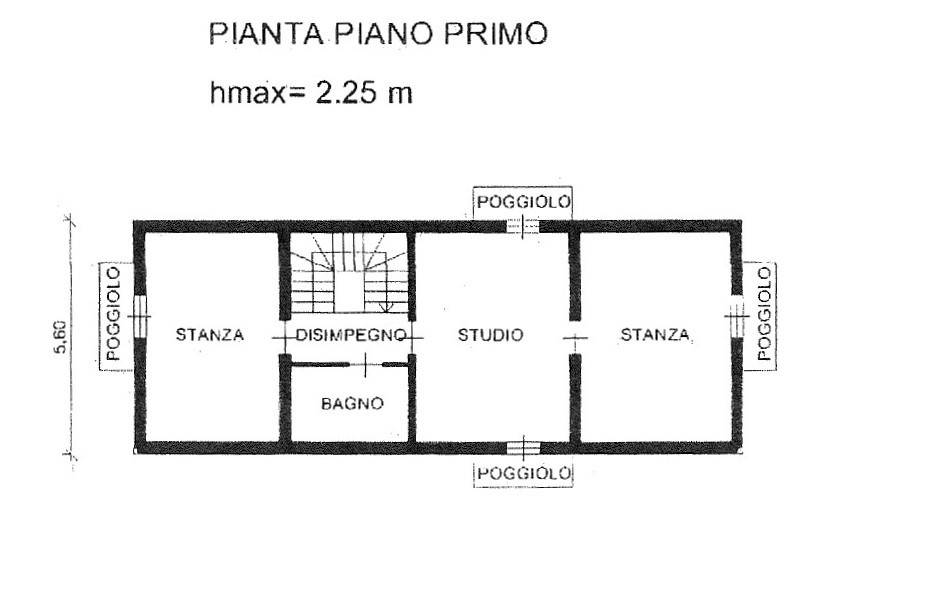028__pianta_primo_piano