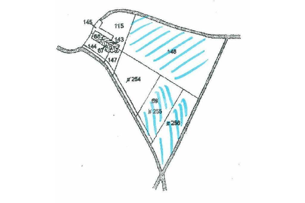 plan terreno castei