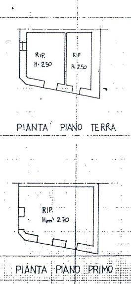 pianta rustico