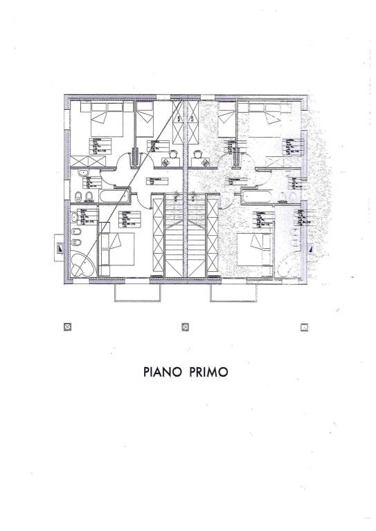 p.primo 1