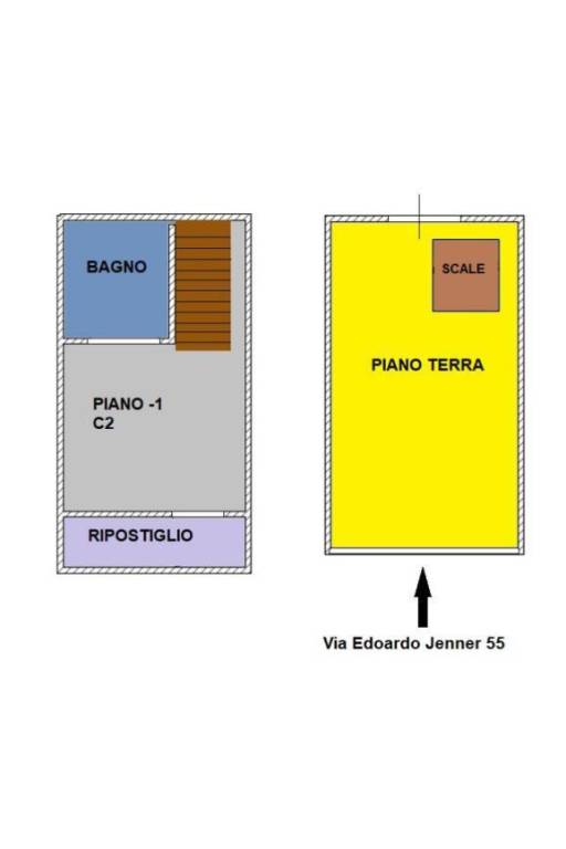 PNL COLORATA JENNER 55