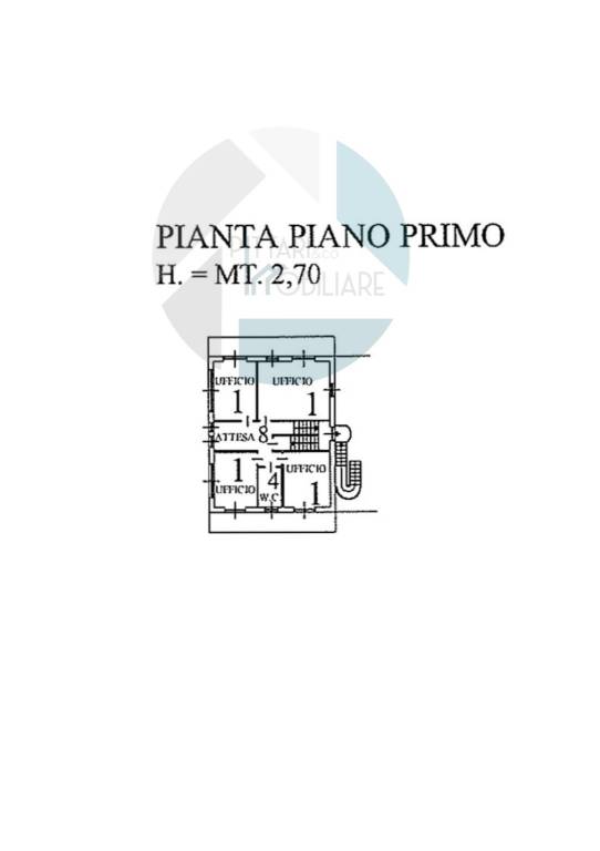 PRIMO PIANO PLN LOGO 1